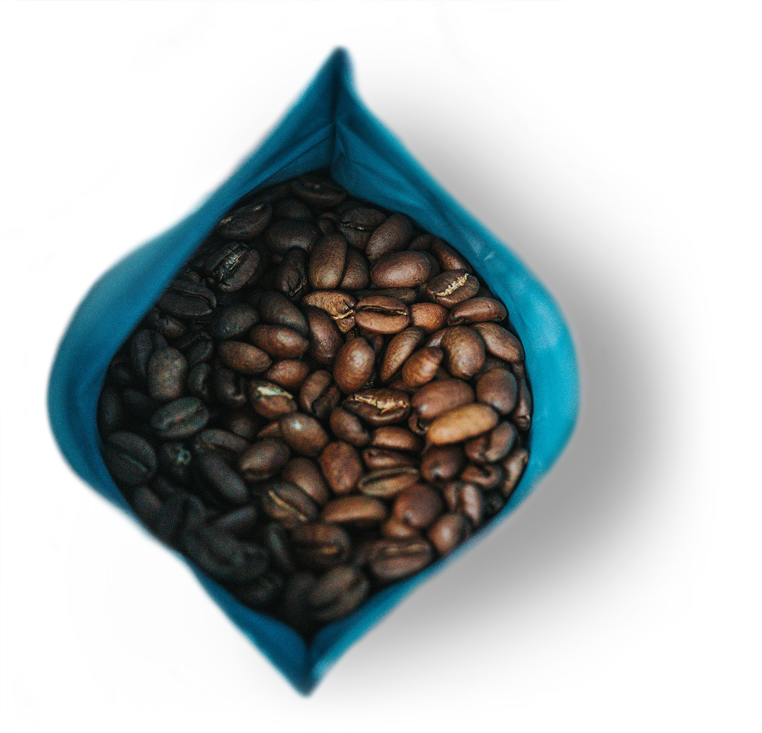 roasted coffee beans