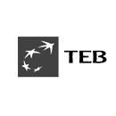 TEB Logo