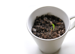 Steppen Biopen Biodegradable Pen Design