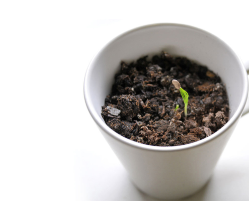 Steppen Biopen Biodegradable Pen Design